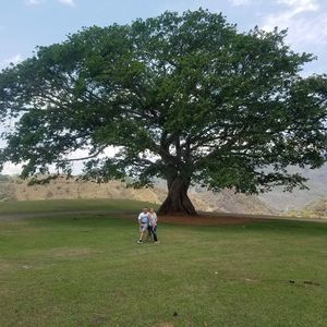 Meet your Posher, Cesar